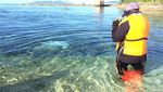 Pesona Pulau Babua dan Pasitufiri di Halmahera Barat