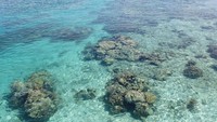 Foto: Pulau Derawan merupakan pulau utama di Kepulauan Derawan, Berau, Kalimantan Timur. Pulau ini memiliki satu desa dan dihuni sekitar ratusan penduduk (Afif/detikTravel)