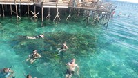 Foto: Derawan Dive Resort, salah satu resor di sana punya kamar yang berada di atas laut. Saat bangun di pagi hari langsung bisa snorkeling (Afif/detikTravel)