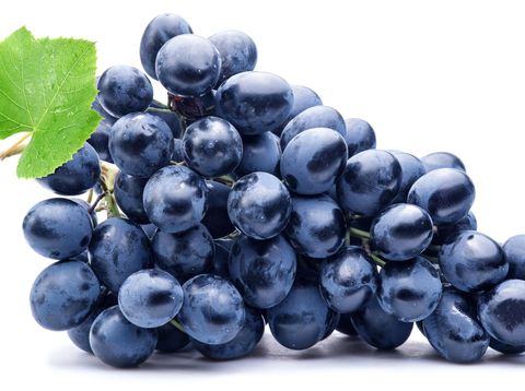 Ilustrasi buah anggur Ilustrasi buah anggur