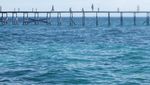 Potret Keindahan Pulau Derawan