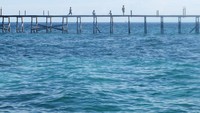 Foto: Habiskanlah waktu di pinggiran pantai. Dermaga kayu di Pulau Derawan pun bisa jadi objek foto yang menarik (Afif/detikTravel)