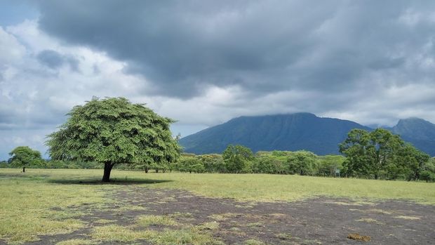 taman nasional