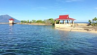 Foto: Selain Pulau Babua, traveler bisa mengunjungi Pulau Pasitufiri. Kecantikannya tak kalah dengan Babua (Esty/detikTravel)