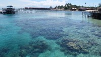 Foto: Air laut di Pulau Derawan sangat bening. Ketika surut, akan terlihat karang-karang dan ikan-ikan. Pasti, Anda tidak tahan dan tergoda untuk berenang di sana (Afif/detikTravel)