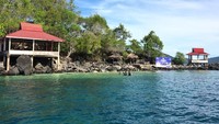 Foto: Pulau Babua bisa dicapai naik speedboat dari Pelabuhan Jailolo. Pulau ini menawarkan keindahan daratan dan tentunya alam bawah laut (Esty/detikTravel)