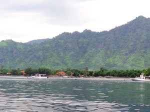 Desa Pemuteran di Bali Raih Desa Wisata Dunia Terbaik 2025 dari PBB