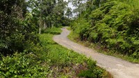 Untuk bisa menikmati langsung keindahannya, traveler harus trekking kurang lebih 40 menit. Anda akan melewati jalan setapak di tengah hutan, sawah serta menyeberangi sungai sebelum akhirnya tiba di air terjun  (Kurnia/detikTravel)