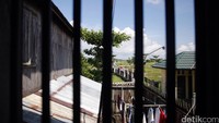 Pemandangan dari dalam rumah.