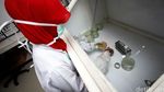 Melihat Laboratorium Milik PT SSMS