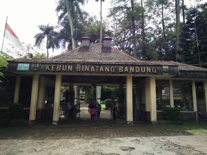 Pemkot Bandung akan Layangkan Somasi ke Kebun Binatang Bandung