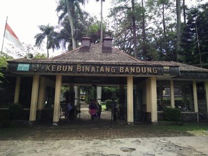Pengelola Kebun Binatang Bandung Bantah Telantarkan Satwa
