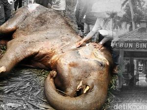 Komisi IV DPR: Pengelola Bonbin Bandung Abai dan Langgar Permenhut 31/2012