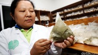 Laboratorium ini juga mengembangkan dan memproduksi jamur bakteri dan virus. Pengembangan ini untuk mendukung program pengelolaan hama terpadu yang ramah lingkungan.