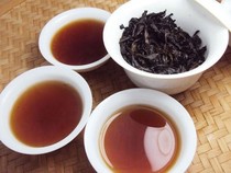 China Larang Panen Teh Termahal di Dunia yang Harganya Rp16 M per Kg!