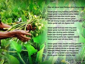 Lirik Lagu Genjer-genjer Beserta Sejarah dan Kaitannya dengan G30S/PKI