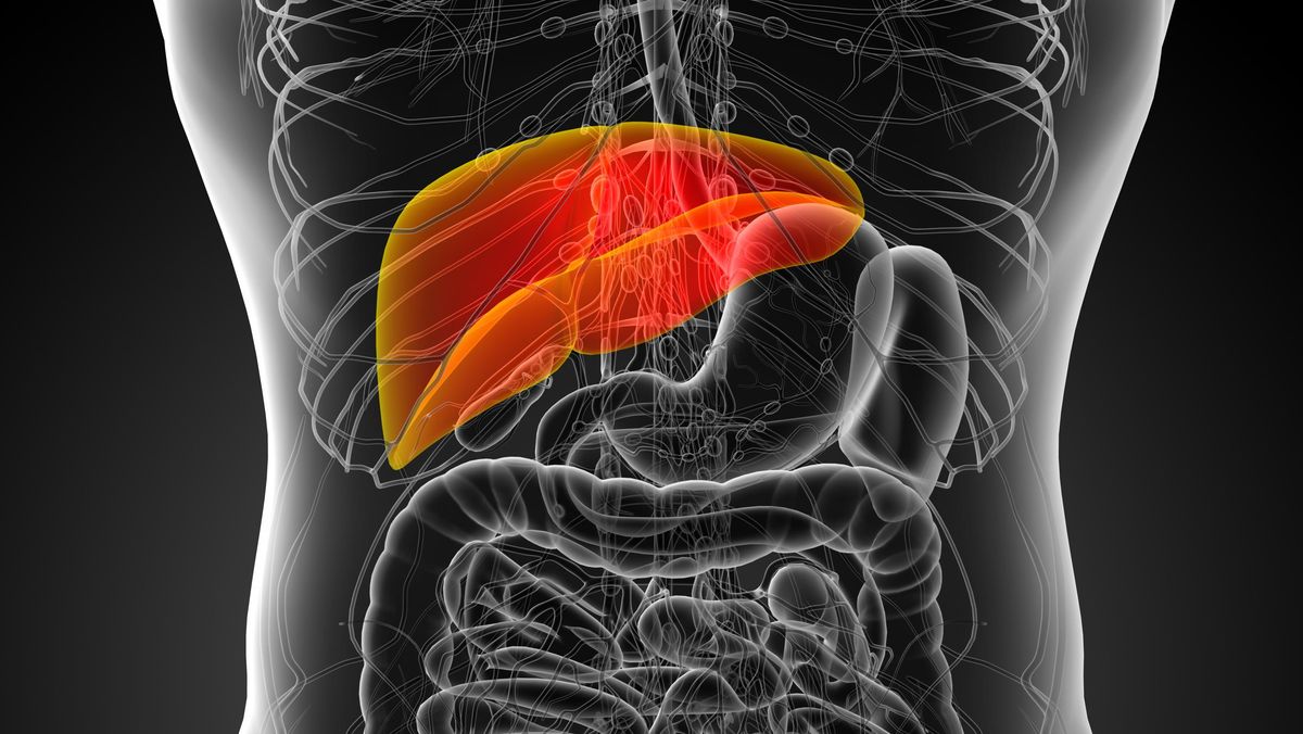 Tanda-tanda Kerusakan Fungsi Liver, Perlu Segera Periksa ke RS