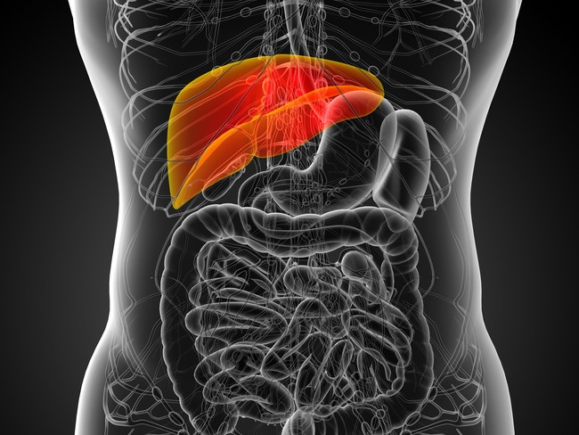 10 Fakta Soal Hati dan Kesehatan Ini Harus Anda Ketahui (2)