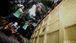 Mengunjungi Kebun Sawit Milik PT SSMS