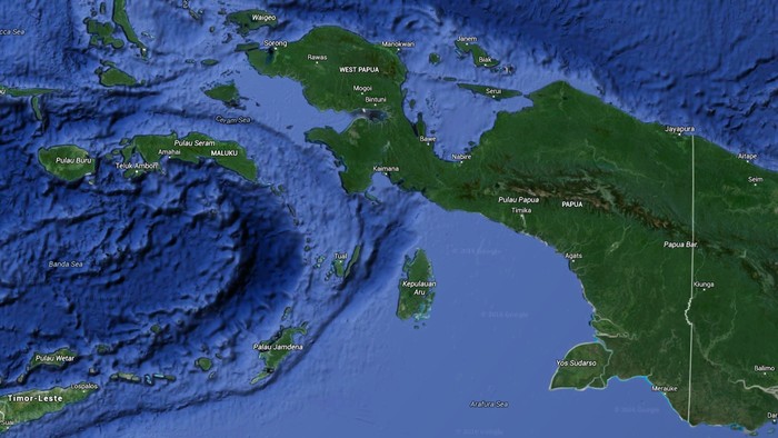 Peta Papua. (Dok. Google Earth)