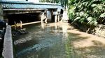 Sungai di Jati Padang Bersih dari Sampah