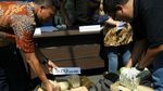 BNN Amankan Sabu dan Ekstasi dari Jaringan Malaysia