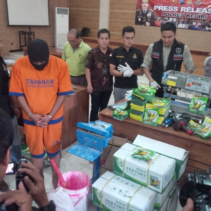 Produsen Benih Jagung Beromzet Puluhan Juta Diamankan