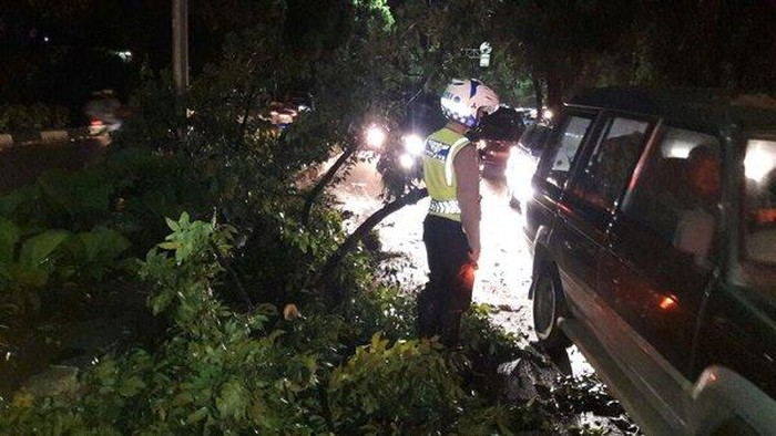 Pohon Tumbang di Bundaran Senayan, Lalin Arah Sudirman Terpantau Padat