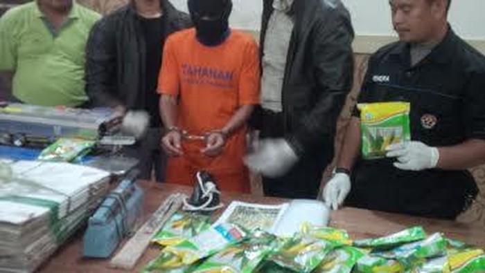 Produsen Benih Jagung Palsu Kembali Diamankan