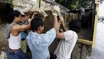 Pedagang Tanaman Hias di GBK Evakuasi Dagangan