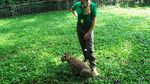 Tingkah Lucu Thaba, Bayi Macan Tutul di Taman Safari Prigen
