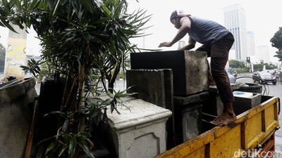 Pedagang Tanaman Hias di GBK Evakuasi Dagangan