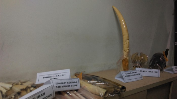 Mabes Polri Ungkap Perdagangan Gading Ilegal di Pasar Rawa Bening Jatinegara