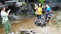 Foto: Namun setelah dibujuk-bujuk, serta ditenangkan oleh ibunya, traveler cilik ini akhirnya berani juga berfoto dengan rombongan penguin. Mereka akhirna berfoto keluarga bersama penguin-penguin lucu (Wahyu/detikTravel)
