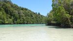 Lepas Rindu Berenang dengan Ubur-ubur Lewat Foto