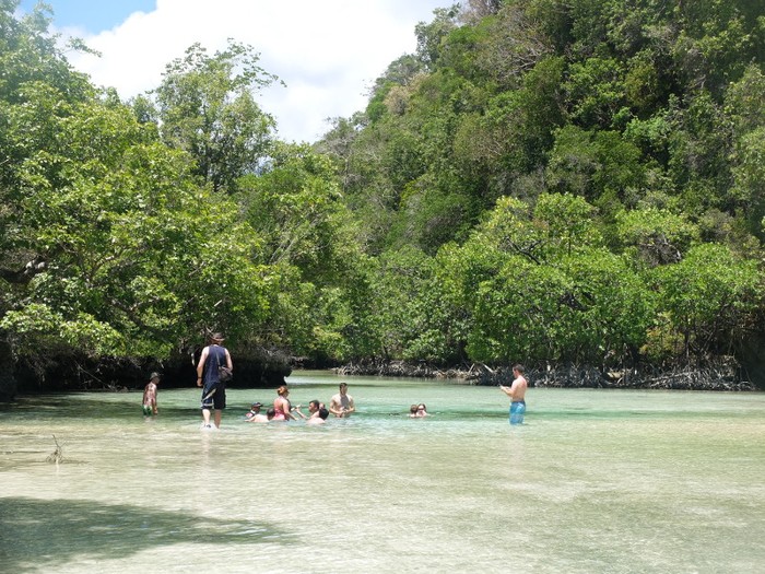 Danau dengan ubur-ubur tak menyengat