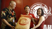 (Kiri ke kanan) GM Sales dan Marketing Semen Merah Putih Oza Guswara, Brand Development & Communication Superintendent Semen Merah Putih Deva Rosadi Hutagalung, dan Marketing Manager Semen Merah Putih Silvie Hardy hadir dalam jumpa pers di Jakarta, Rabu (17/5/2016).