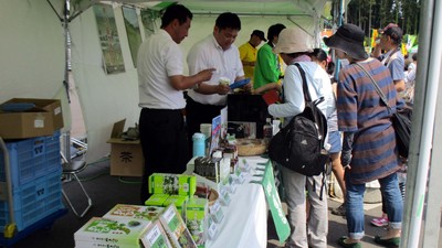 Menikmati Festival Teh di Shizuoka