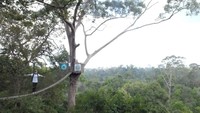 Jangan lupa siapkan kamera, untuk memotret tiap angle jembatannya. Kapan lagi mengunjungi jembatan kanopi yang keren ini! (Afif/detikTravel)
