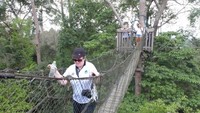PT Inhutani I membuat jembatan ini pada Februari 1998. Total pembuatannya selama 1 bulan, yang dikerjakan oleh 6 kontraktor dari Amerika yang tergabung dalam Canopy Contraction Asociated (Afif/detikTravel)