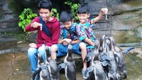 Foto: Sementara itu, traveler cilik lainnya tidak masalah harus berinteraksi dengan penguin. Malah mereka terlihat senang bisa mengelus bulu-bulu penguin yang licin (Wahyu/detikTravel)