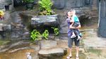 Tingkah Lucu Penguin di Taman Safari Prigen