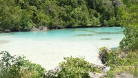 Puas bermain dengan ubur-ubur tak menyengat, beralihlah ke bagian belakang Pulau Kakaban. Di sana ada laguna bernama Kehe Daing yang jernih dan alami (Afif/detikTravel)