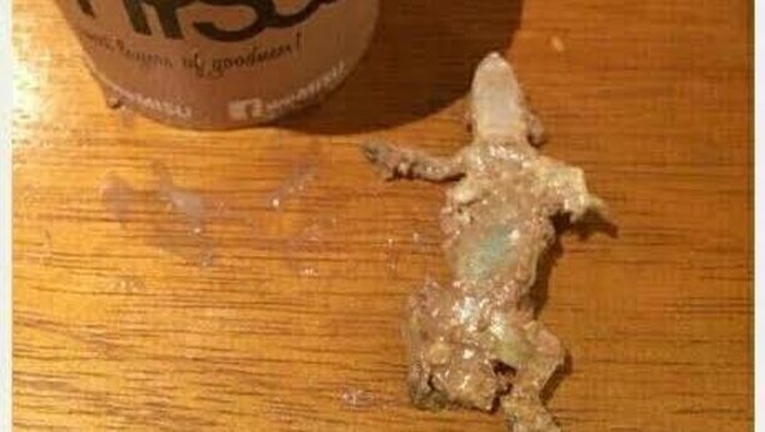 Soal Tiramisu Cicak, Pemilik Holycow Chef Afit Terus Komunikasi dengan Konsumen