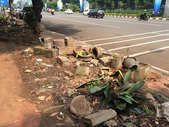 Seputaran Senayan Kini Bersih dari Pedagang Tanaman Hias, Dibongkar Satpol PP