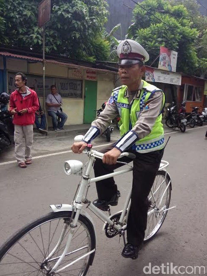 Fenomena Bripka Seladi yang Memukau Publik!