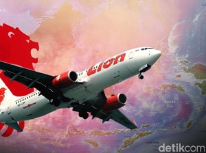 Pesawat Lion Air Terempas, Direktur Teknik Dilepas