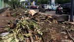 Penertiban Penjual Tanaman Hias di Jl. Asia Afrika