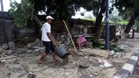 Pemilik tanaman berusaha memindahkan pohon yang masih bisa dijual.