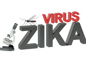 'Wajah' Zika Terungkap, Begini Penampakan si Virus